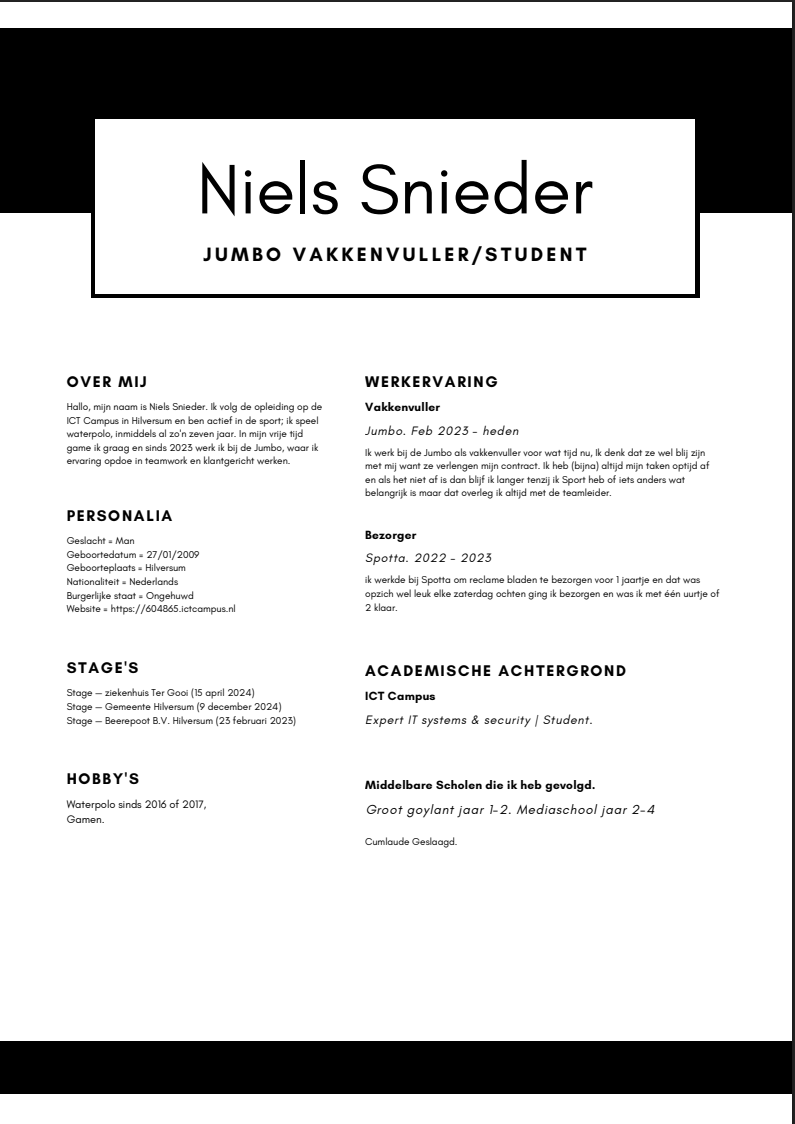 Screenshot van het CV